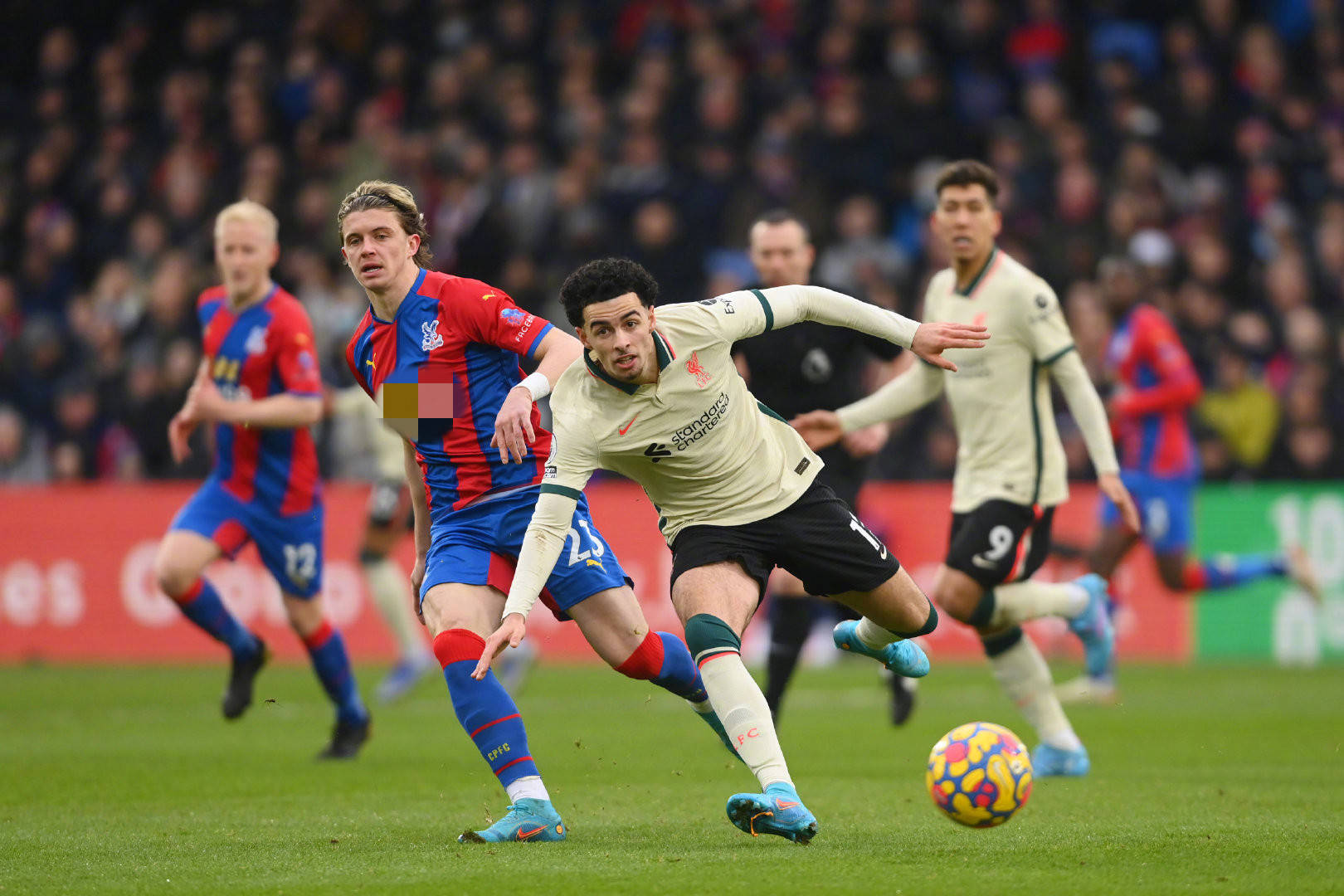 是她面临的 是她面临的